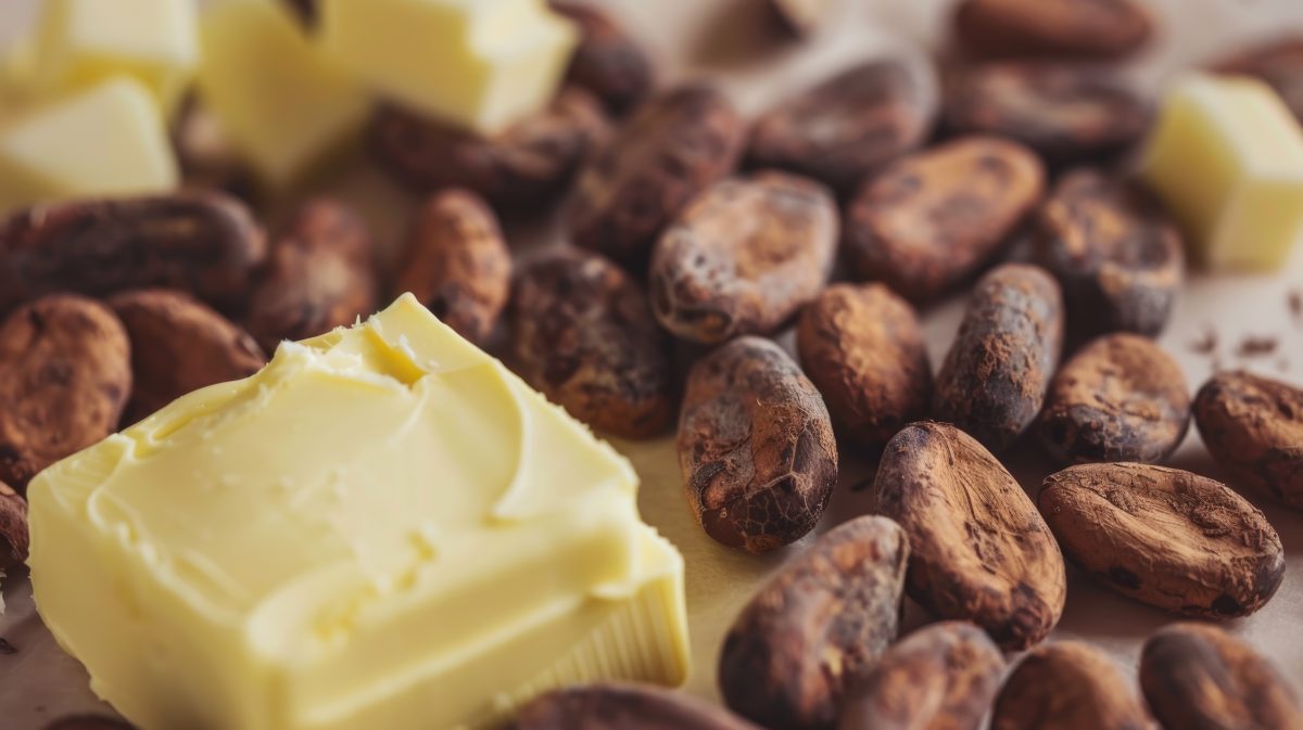 semillas de cacao y mantenca